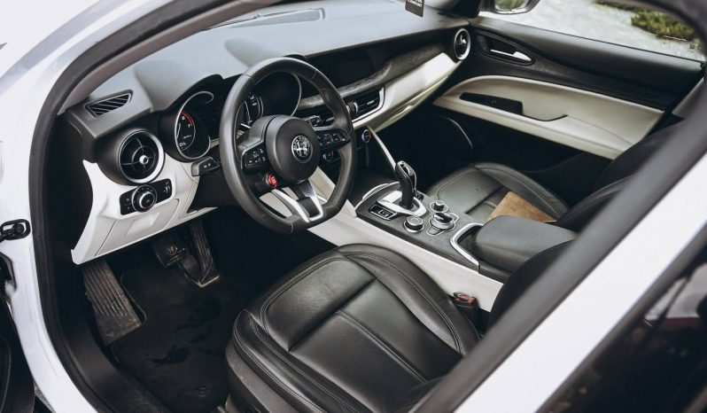 
ALFA ROMEO STELVIO, 2020 (2019) full									