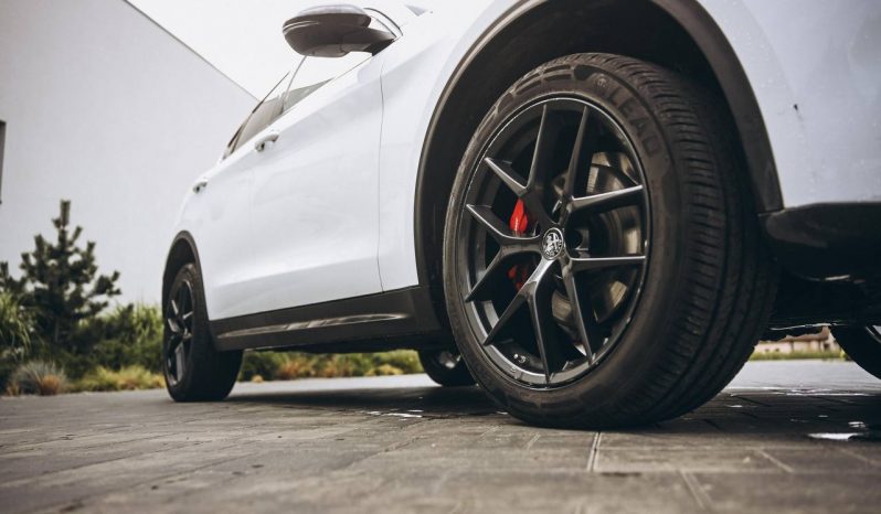 
ALFA ROMEO STELVIO, 2020 (2019) full									