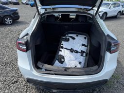 
TESLA MODEL Y LR DM, 2020 full									