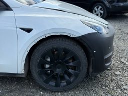 
TESLA MODEL Y LR DM, 2020 full									