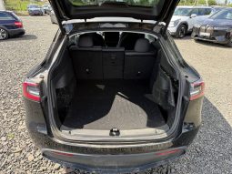 
TESLA MODEL Y LR DM, 2021 (2020) full									