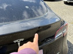 
TESLA MODEL Y LR DM, 2021 (2020) full									
