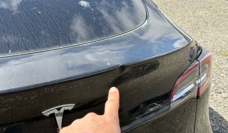 
TESLA MODEL Y LR DM, 2021 (2020) full									