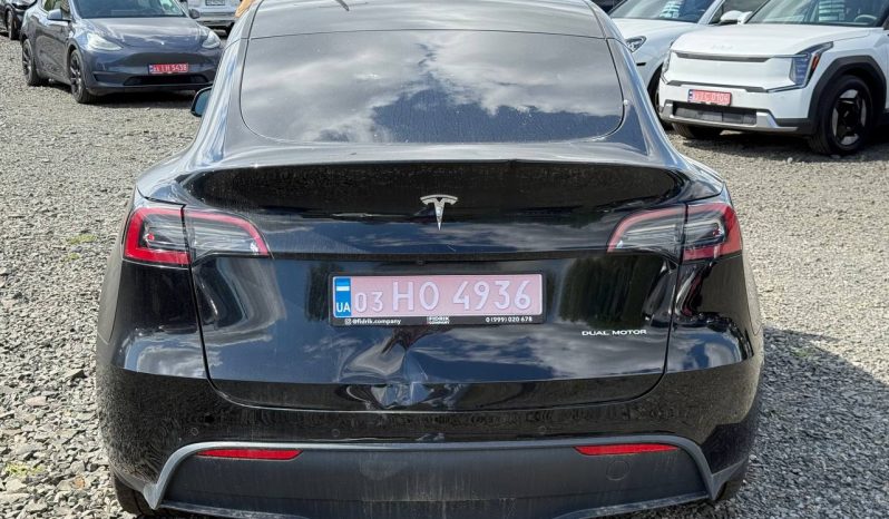 
TESLA MODEL Y LR DM, 2021 (2020) full									