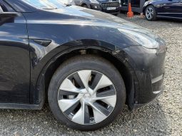 
TESLA MODEL Y LR DM, 2021 (2020) full									