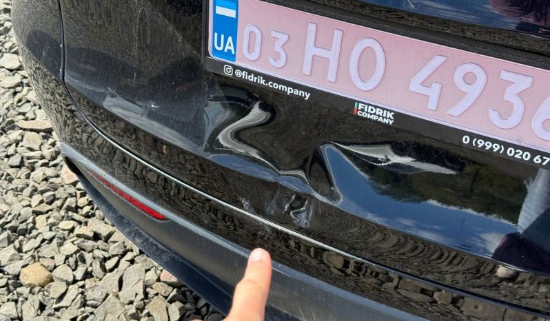 
TESLA MODEL Y LR DM, 2021 (2020) full									