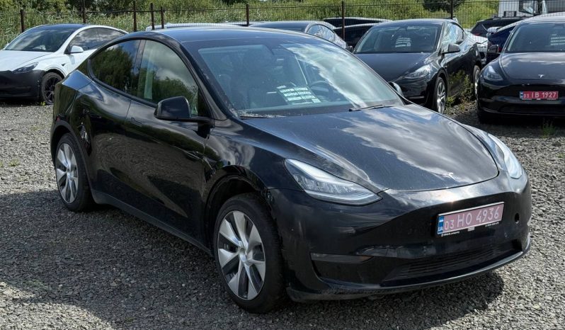 
TESLA MODEL Y LR DM, 2021 (2020) full									