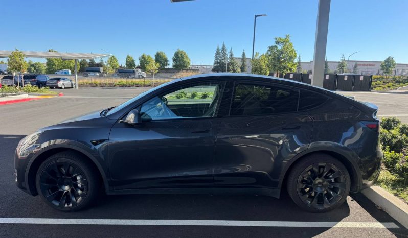 
TESLA MODEL Y RWD, 2024 full									