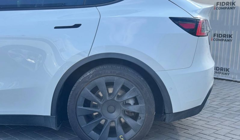 
TESLA MODEL Y LR DM, 2021 full									