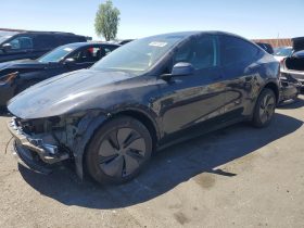 TESLA MODEL Y LR RWD, 2026 (2025)