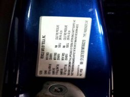 
TESLA MODEL 3 LR DM, 2021 (2020) full									