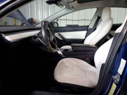 
TESLA MODEL 3 LR DM, 2021 (2020) full									