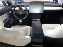 
TESLA MODEL 3 LR DM, 2021 (2020) full									