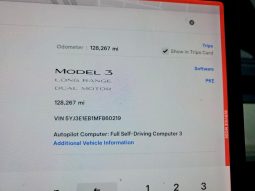 
TESLA MODEL 3 LR DM, 2021 (2020) full									