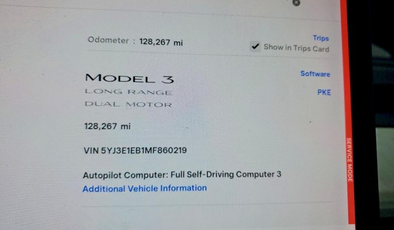 
TESLA MODEL 3 LR DM, 2021 (2020) full									