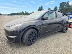 TESLA MODEL Y LR DM, 2021