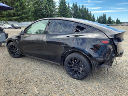 TESLA MODEL Y LR DM, 2021