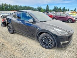 TESLA MODEL Y LR DM, 2021
