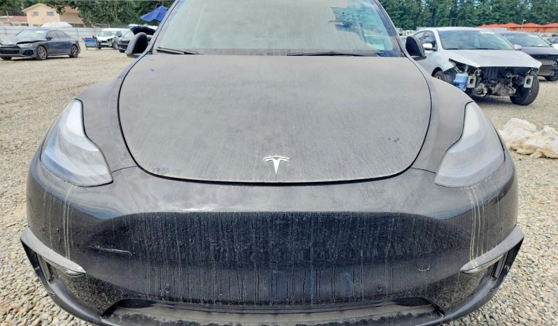
TESLA MODEL Y LR DM, 2021 full									