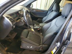 
BMW X3 SDRIVE30I, 2019 (2018) full									