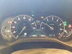 
BMW X3 SDRIVE30I, 2019 (2018) full									