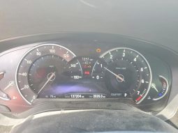 
BMW 530 I, 2018 (2017) full									