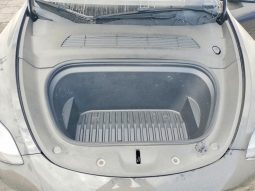 
TESLA MODEL Y LR DM, 2022 full									