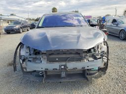 
FORD MUSTANG MACH-E CALIFORNIA ROUTE 1, 2021 full									