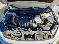 
HONDA INSIGHT TOURING, 2019 (2018) full									