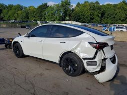 TESLA MODEL Y LR DM, 2021
