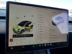 
TESLA MODEL Y LR DM, 2022 full									