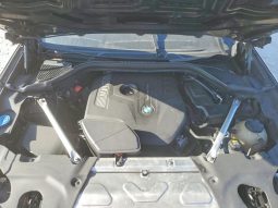 
BMW X3 SDRIVE30I, 2019 (2018) full									