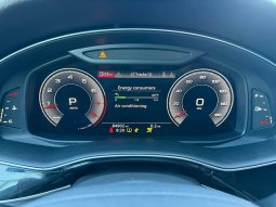 
AUDI Q8 PREMIUM PLUS, 2019 (2018) full									