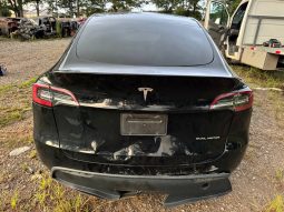 TESLA MODEL Y LR DM, 2023