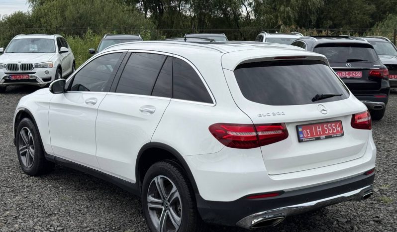 
MERCEDES-BENZ GLC 300, 2018 (2017) full									