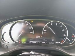 
BMW X3 SDRIVE30I, 2019 (2018) full									