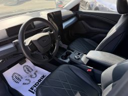 
FORD MUSTANG MACH-E SELECT, 2022 full									