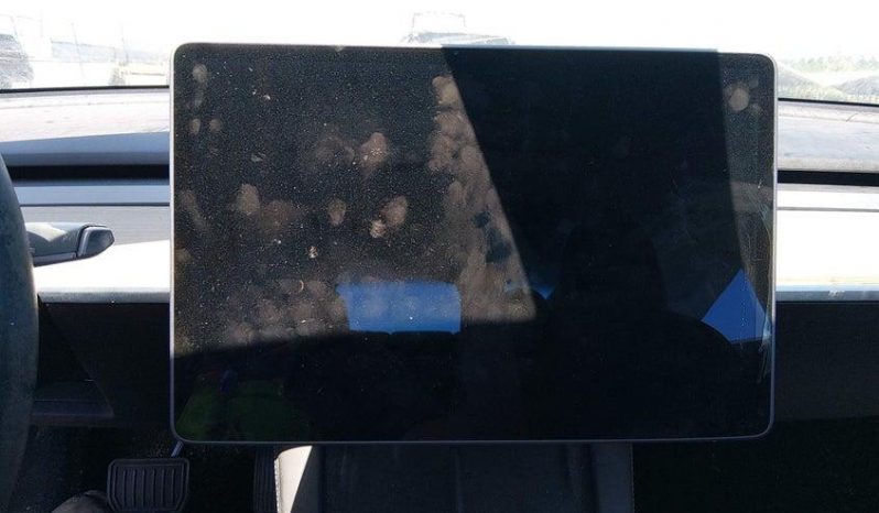 
TESLA MODEL 3 LR DM, 2021 (2020) full									