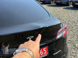 
TESLA MODEL Y LR DM, 2023 full									