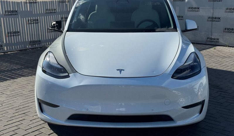 
TESLA MODEL Y PERFORMANCE, 2022 (2021) full									