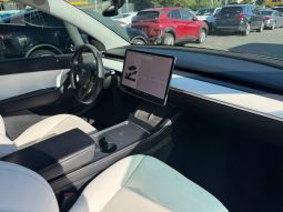 
TESLA MODEL Y PERFORMANCE, 2022 (2021) full									