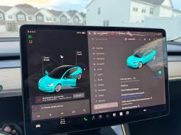 
TESLA MODEL 3 MR RWD, 2019 full									