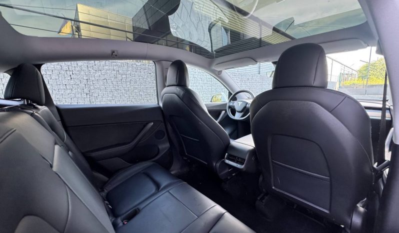 
TESLA MODEL Y LR DM, 2021 full									