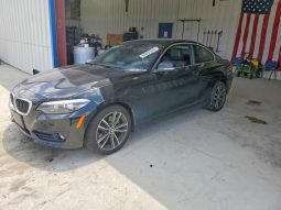 BMW 230I, 2019 (2018)