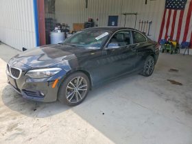 BMW 230I, 2019 (2018)