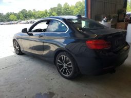 BMW 230I, 2019 (2018)