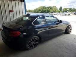 BMW 230I, 2019 (2018)
