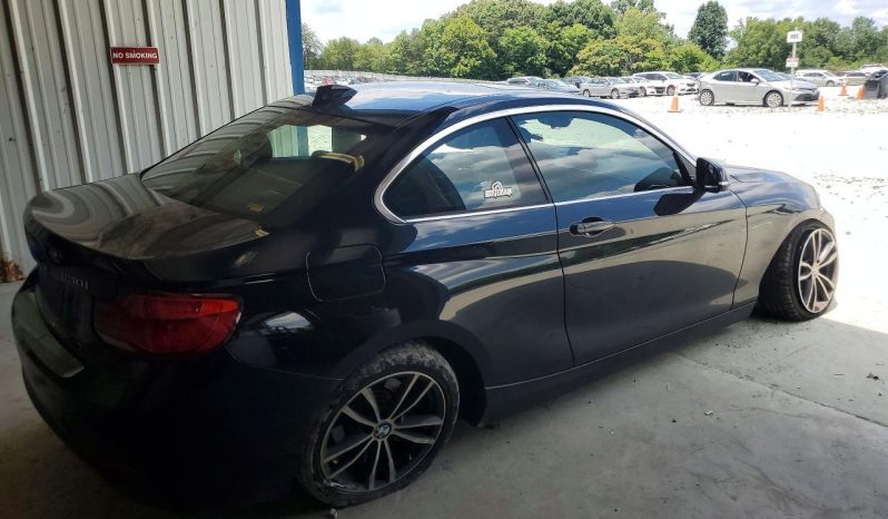 
BMW 230I, 2019 (2018) full									