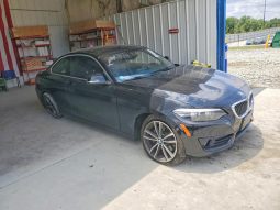 BMW 230I, 2019 (2018)