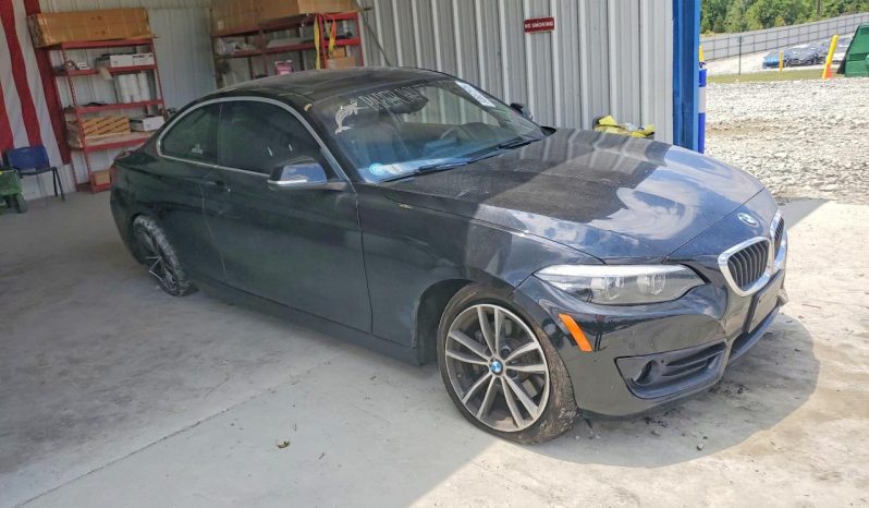 
BMW 230I, 2019 (2018) full									